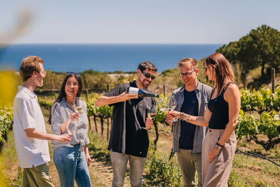Barcelona: Sailing Cruise & Vineyard Tour with Wine Tasting - Rough water is part of the bargain