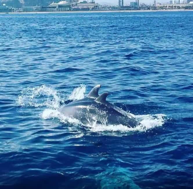Barcelona: Sailing Tour with Drinks and Snacks - Setting sail from Barcelona’s Olympic Harbour