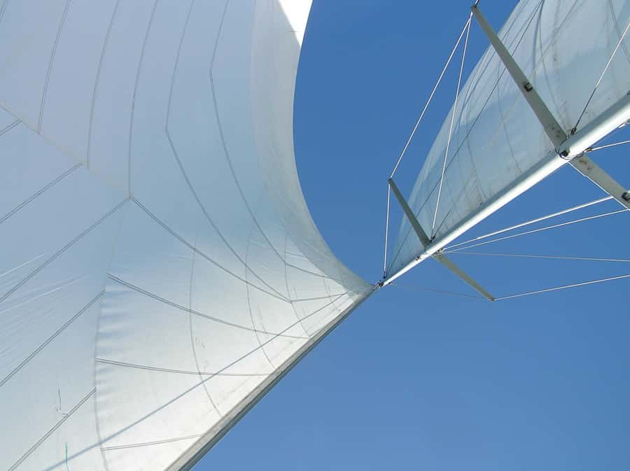 Bay of Islands: Awesome Day Sailing Tour with Island Stop - Key things to know before sailing