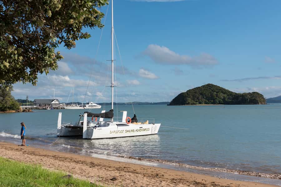 Bay of Islands: Catamaran Sail, Wildlife Island & Lunch - Why this Bay of Islands sailing day is worth considering