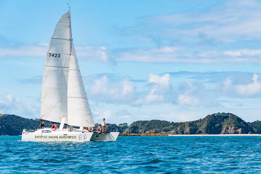 Bay of Islands: Catamaran Sail, Wildlife Island & Lunch - Leaving Paihia barefoot and boat-ready
