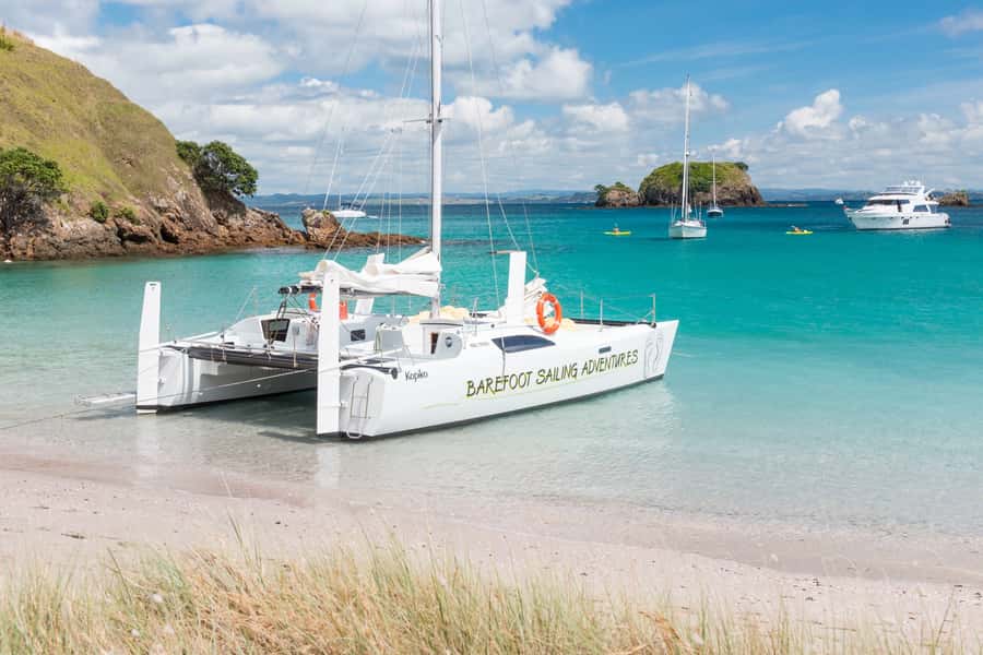 Bay of Islands: Catamaran Sail, Wildlife Island & Lunch - The return sail and the best seat on board