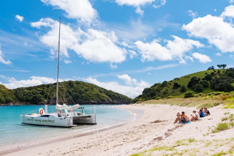 Bay of Islands: Catamaran Sail, Wildlife Island & Lunch - What the $134 price includes