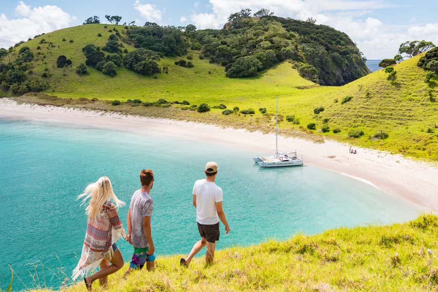 Bay of Islands: Catamaran Sail, Wildlife Island & Lunch - Two hours across the Bay of Islands