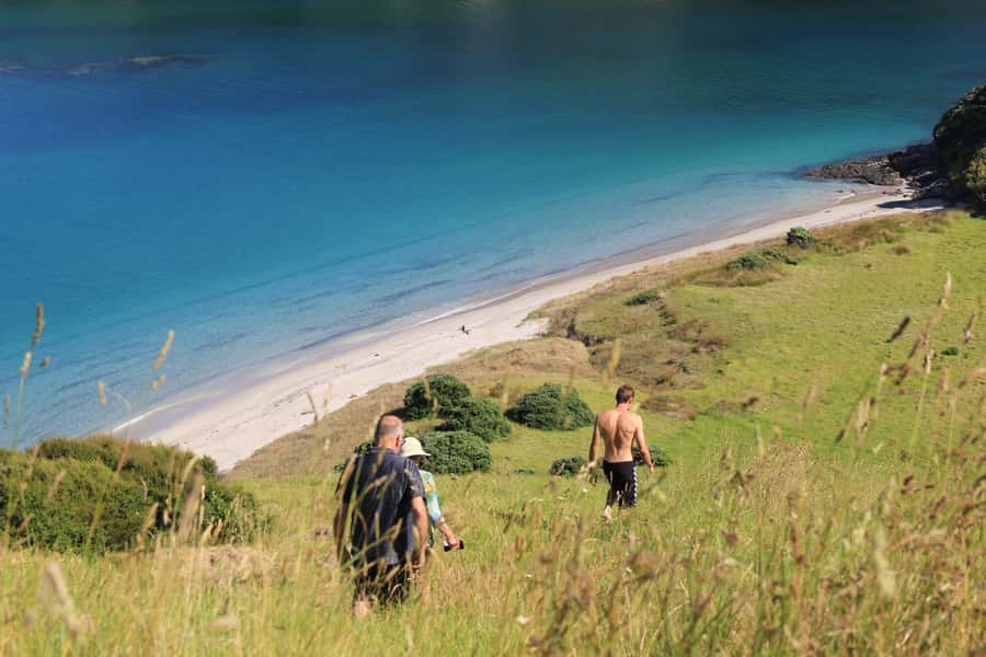 Bay of Islands: Day Sailing Cruise with Island Stop & Lunch - Should You Book Bayscapes Charters?