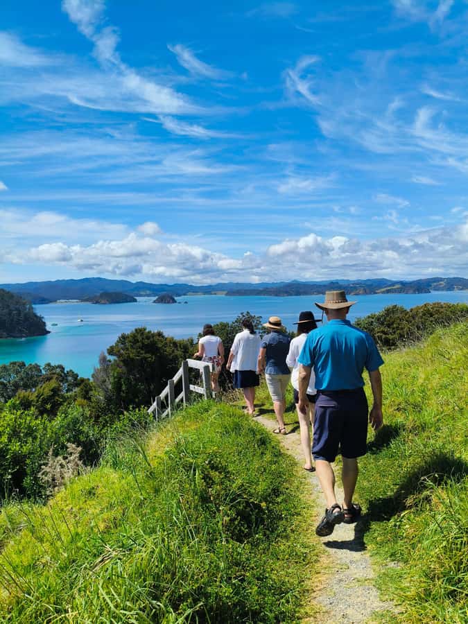 Bay of Islands: Day Sailing Cruise with Island Stop & Lunch - Leaving Paihia Wharf at 9:30 AM