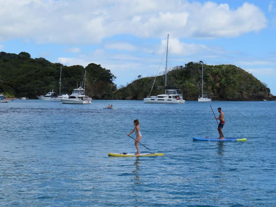 Bay of Islands: Day Sailing Cruise with Island Stop & Lunch - Who Will Enjoy This Best?