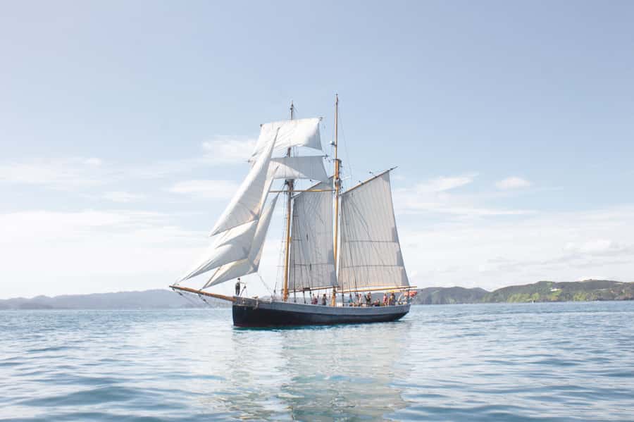 Bay of Islands: Full-Day Tall Ship Sailing Excursion - Meeting the R. Tucker Thompson at Russell Wharf