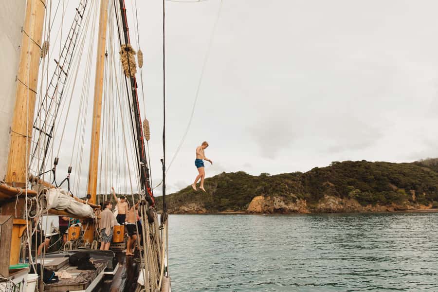 Bay of Islands: Full-Day Tall Ship Sailing Excursion - Who will enjoy this tall ship day?