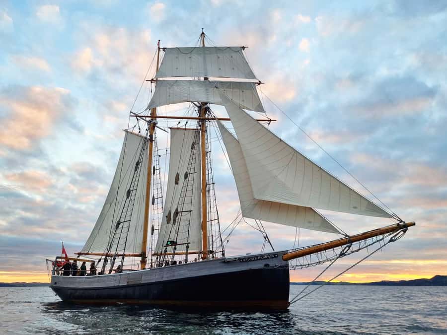 Bay of Islands: Late Afternoon Sailing Cruise - Setting out from Russell at 4pm