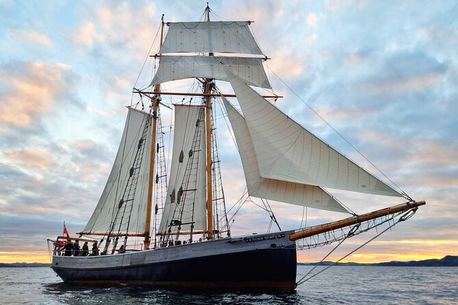 Bay of Islands Tall Ship Sundowner Sailing - Five things to know before sailing