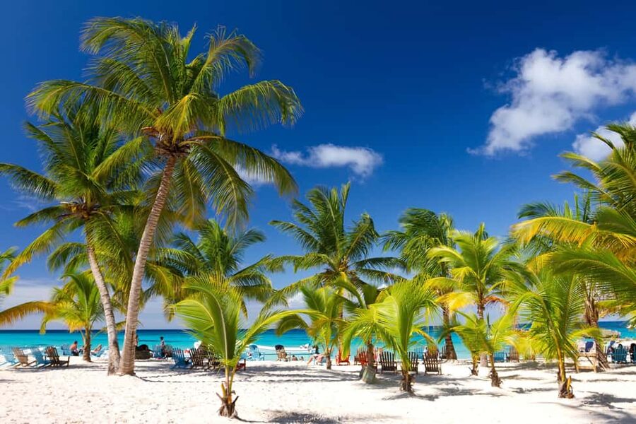 Bayahibe: Saona Island Sailing in catamaran with open bar - Key points to know before you go