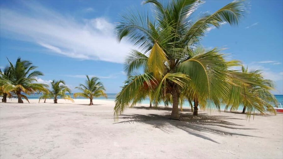 Bayahibe: Saona Island Sailing in catamaran with open bar - What the $80 day actually includes