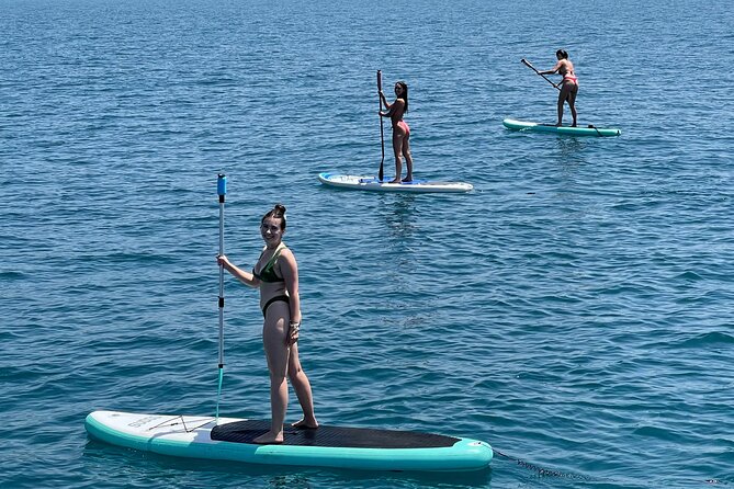 Benalmádena: Sailing and Dolphin Watching with Snacks and Drinks - Is $34.88 good value for two hours?