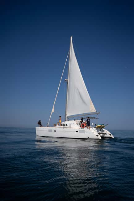 Benalmádena: Sailing & Dolphin Watching with Snacks/Drinks - Should you book it?