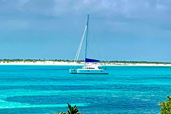 Bimini Charters - Private 3hr Catamaran Charters, Sail & Snorkel - Dolphins, turtles, and open water