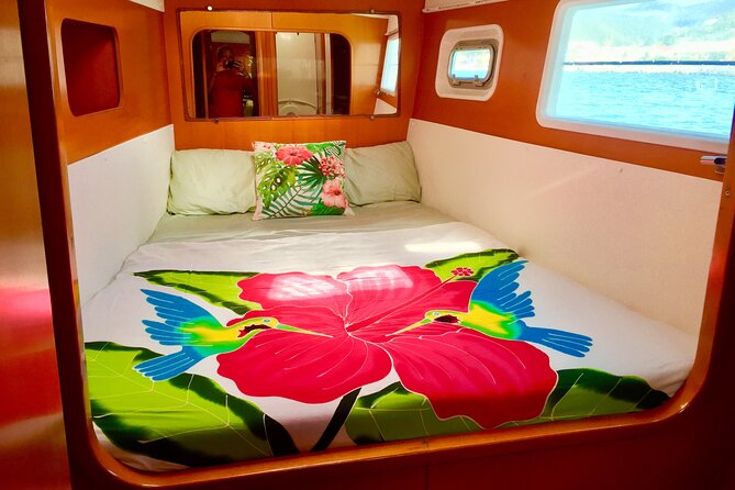 Bimini Charters - Private 3hr Catamaran Charters, Sail & Snorkel - Food, cocktails, and the freedom to set the tone