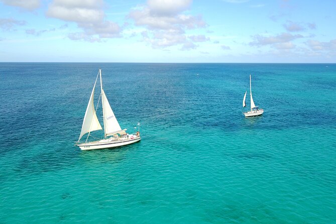Blue Parrot Snorkel Sail with 4 course lunch or dinner in Aruba - Snorkeling at Mangel Halto Reef
