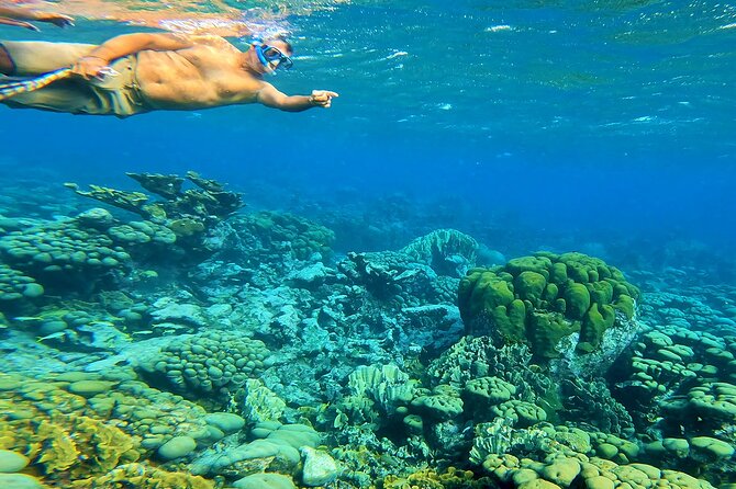 Blue Parrot Snorkel Sail with 4 course lunch or dinner in Aruba - The opening sail past Spanish Lagoon
