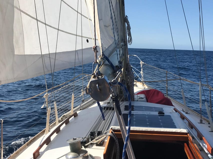 Bretagne Brest : Private Sailing charter Mer d’Iroise - Is $221 good value for five people?