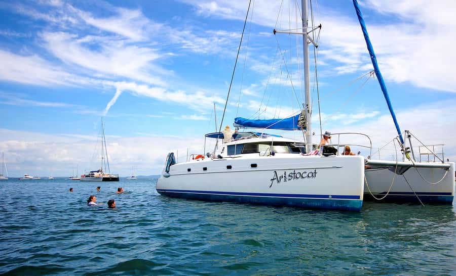 Brisbane: Half-Day Moreton Bay Sailing Cruise with Antipasto - Key points to know before you book