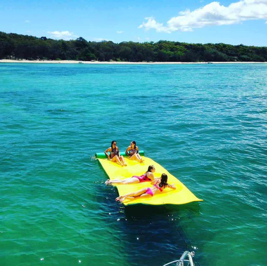 Brisbane: Half-Day Moreton Bay Sailing Cruise with Antipasto - From Cleveland station to the catamaran