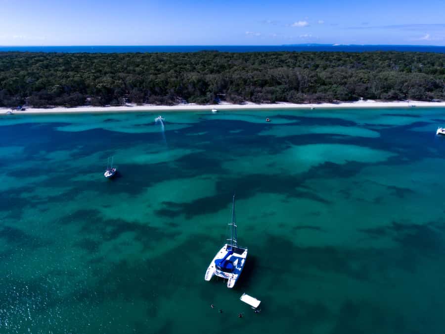 Brisbane: Half-Day Moreton Bay Sailing Cruise with Antipasto - Moreton Bay wildlife from the water
