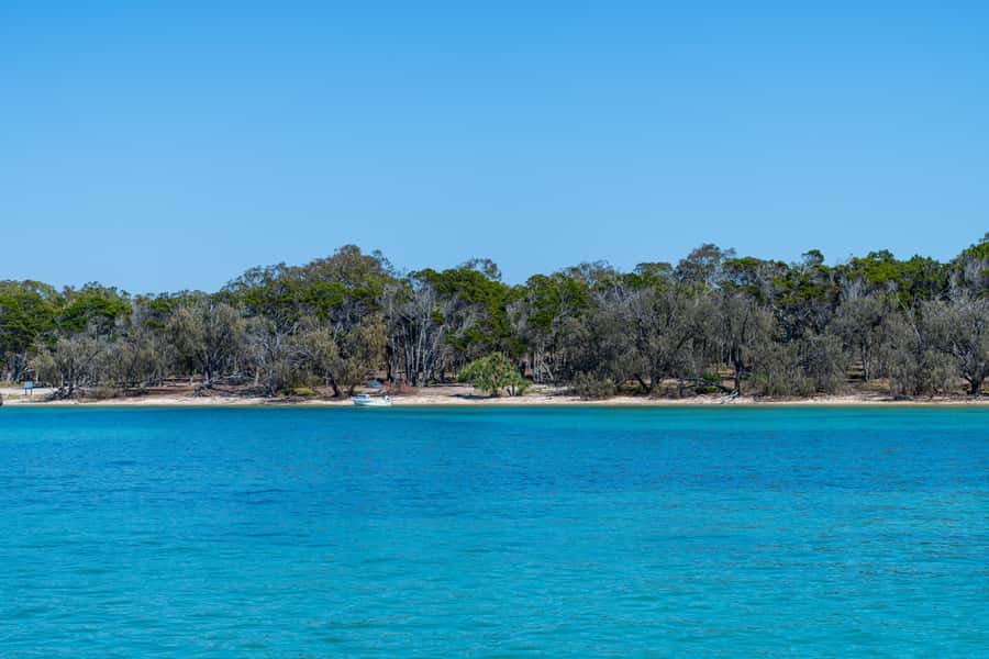 Brisbane: Half-Day Moreton Bay Sailing Cruise with Antipasto - Antipasto, fruit, and your own drinks