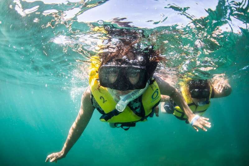 Cabo San Lucas: Snorkel, Lunch and Sail Experience - What the SailRider is like for a half-day cruise
