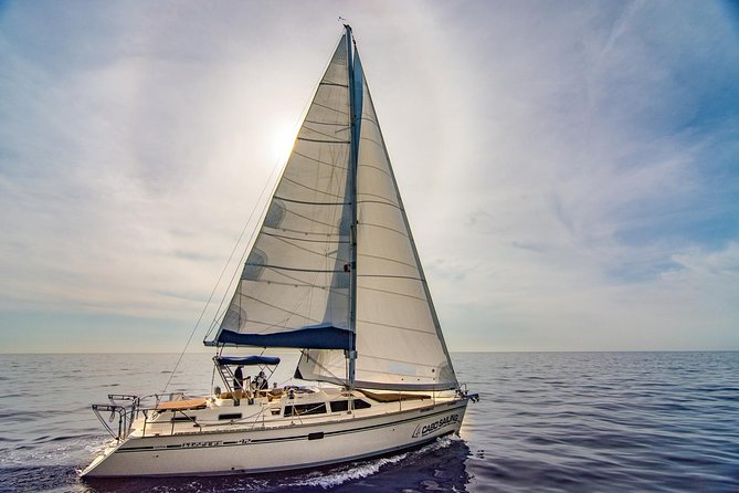 Cabo San Lucas Sunset Sailing Shared Cruise - Appetizers, drinks, and what to expect from the food