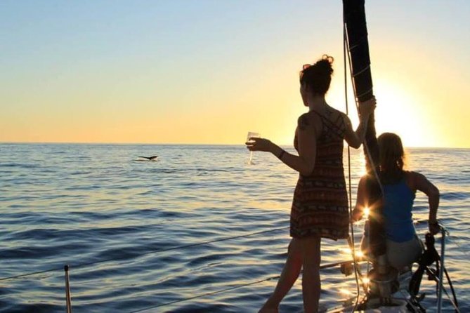 Cabo San Lucas Sunset Sailing Shared Cruise - The small-boat tradeoff: comfort versus motion