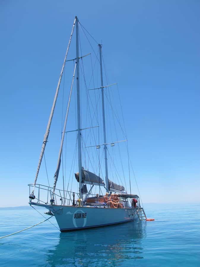 Cairns: Green Island & Great Barrier Reef Sailing Tour - Who should book this Cairns reef tour?