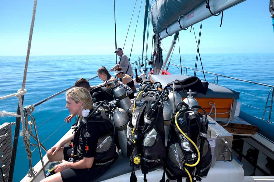 Cairns: Green Island & Great Barrier Reef Sailing Tour - Crew support is a major part of the value