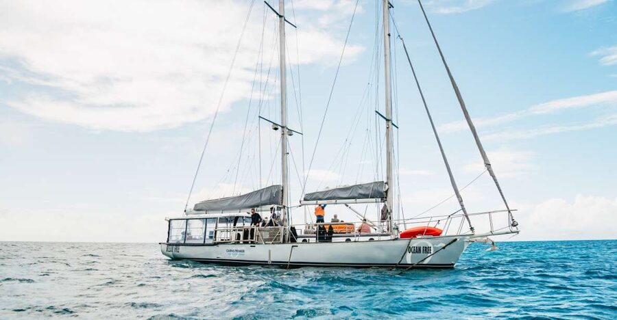 Cairns: Green Island & Great Barrier Reef Sailing Tour - What the $183 price really includes