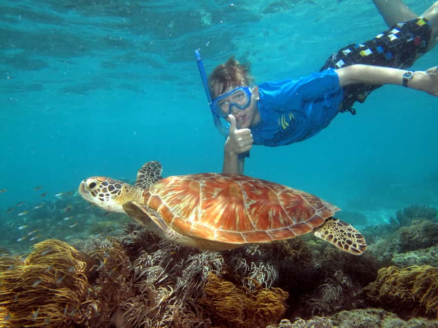Cairns: Ocean Spirit Great Barrier Reef Full Day Tour - Sailing From Cairns on the 32-Meter Ocean Spirit