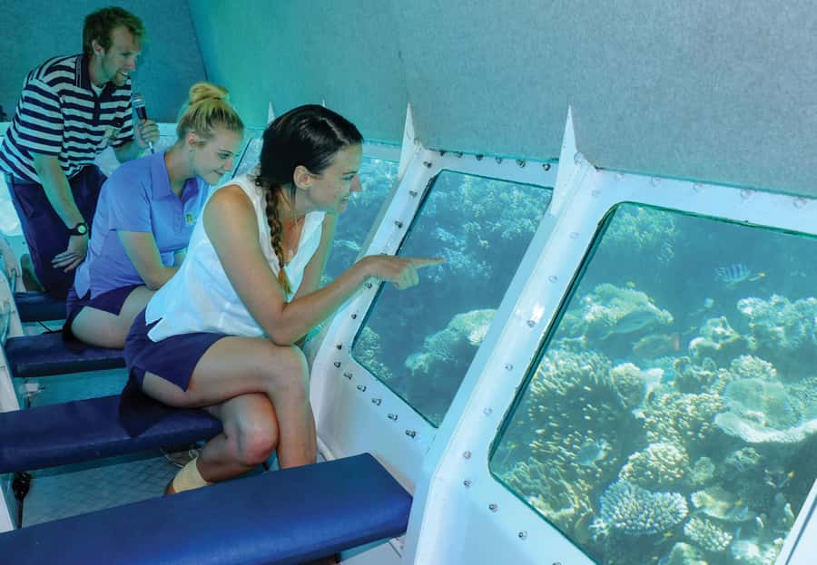 Cairns: Ocean Spirit Great Barrier Reef Full Day Tour - Optional Scuba for More Adventure