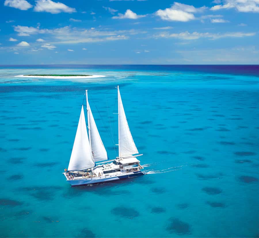 Cairns: Ocean Spirit Great Barrier Reef Full Day Tour - Michaelmas Cay, a Protected Island With a Wild Side