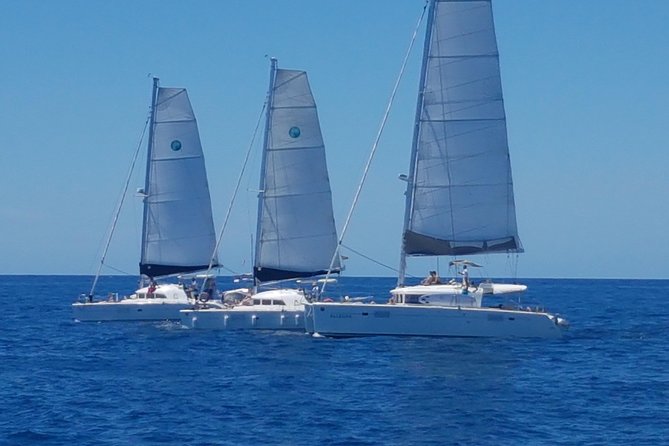 Cala d'Hort Sailing Adventure - Leaving Cala Jondal at 10:00 a.m.
