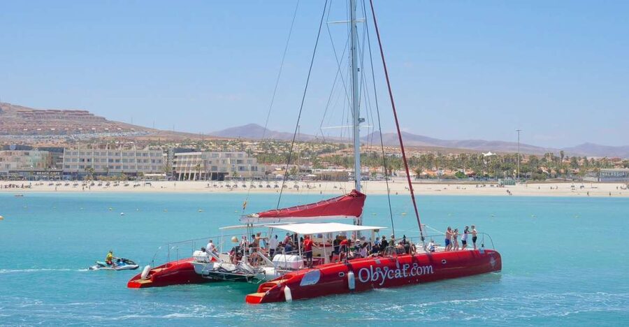 Caleta de Fuste: Catamaran Sailing Experience - Key points at a glance