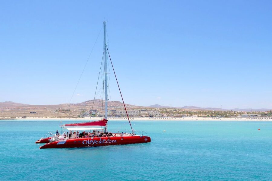Caleta de Fuste: Catamaran Sailing Experience - Lunch on the catamaran
