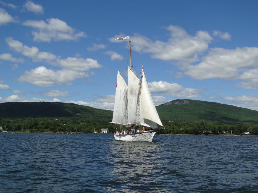 Camden: Historic Schooner Day Sailing Trip - Curtis Island Light and the mouth of the bay