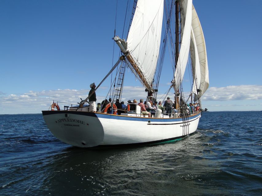 Camden: Historic Schooner Day Sailing Trip - Should you book the Appledore II sailing?