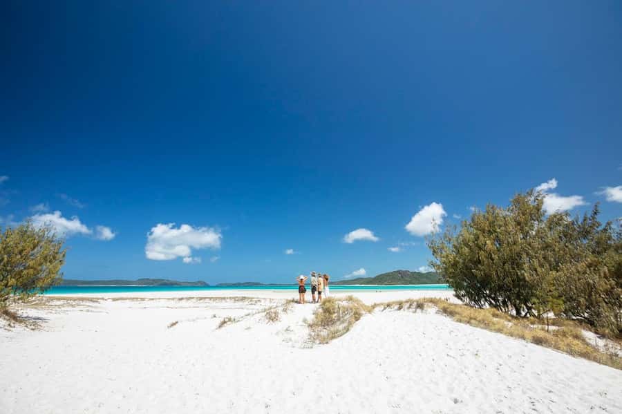 Camira Sunset Sail -Drinks & Snacks -Departing Airlie Beach - Who should book the Camira Sunset Sail