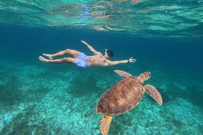 Cancun Catamaran: Sail to Isla Mujeres + Buffet & Drinks - Starting at Playa Tortugas at noon