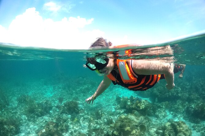 Cancun to isla mujeres catamaran sailing - Lunch, open bar, and the real cost of the day
