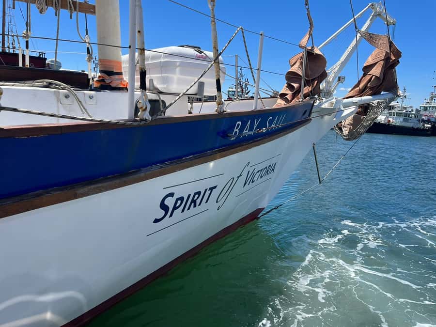 Cape Town: 1 Hour Table Bay Sailing Tour - Key points to know before you sail