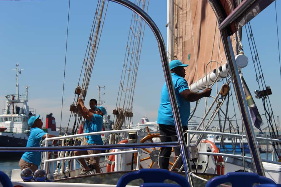 Cape Town: 1 Hour Table Bay Sailing Tour - Table Mountain views from the bay