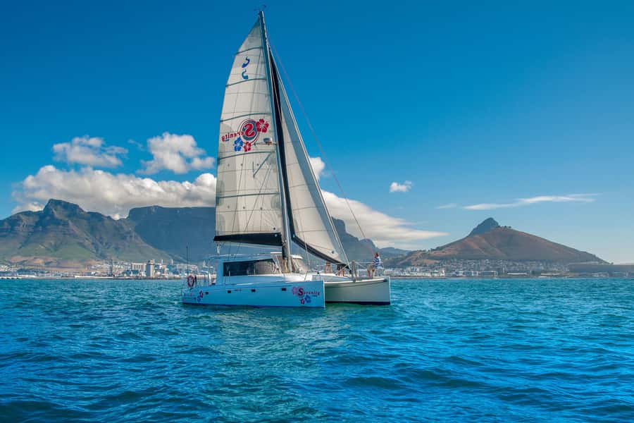 Cape Town Waterfront and Bay: Sailing Trip - Five things to know before you go