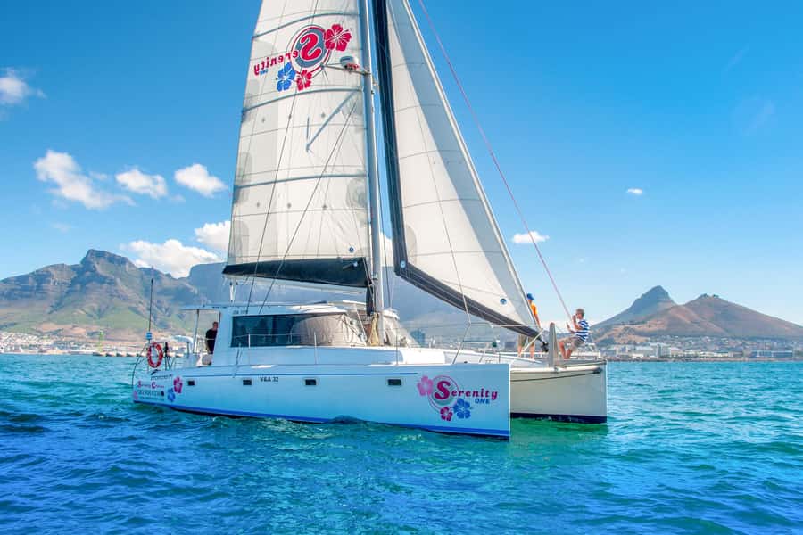 Cape Town Waterfront and Bay: Sailing Trip - What the $25 price really buys you