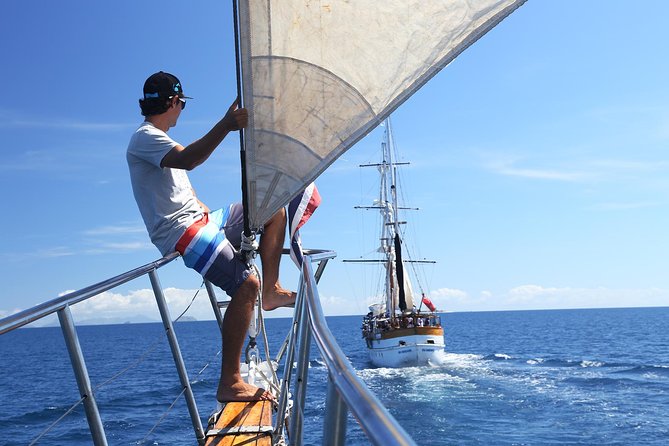 Capt Cook Cruises Super Saver Combo: Day Sail + Dinner Cruise - What the entertainment adds